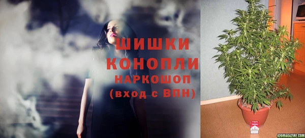 стаф Волосово