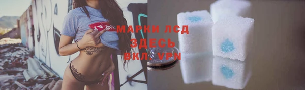 стаф Волосово