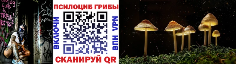 Галлюциногенные грибы Psilocybine cubensis  как найти закладки  darknet как зайти  Малмыж 
